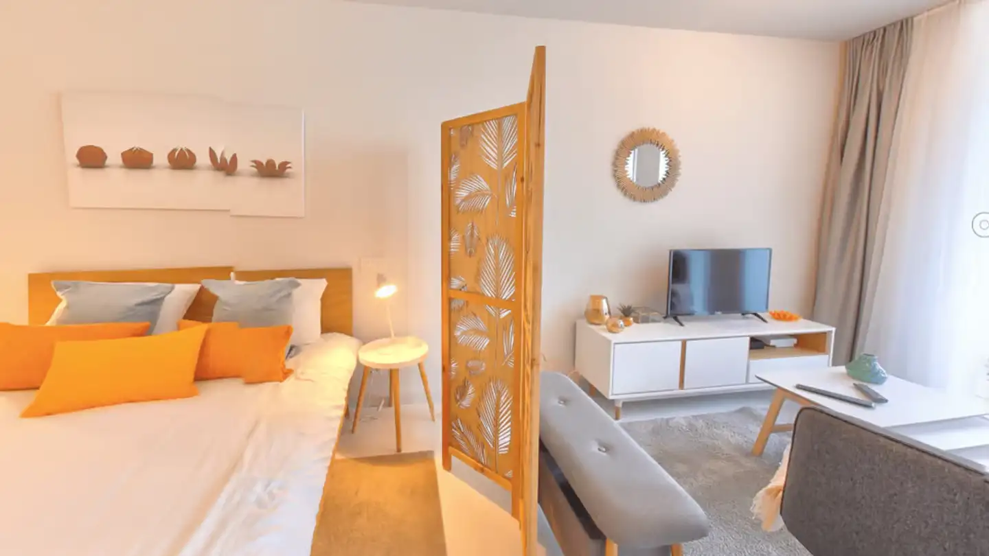 Appartamento in affitto - Rue De La Morâche, 1260 Nyon - Foto 2