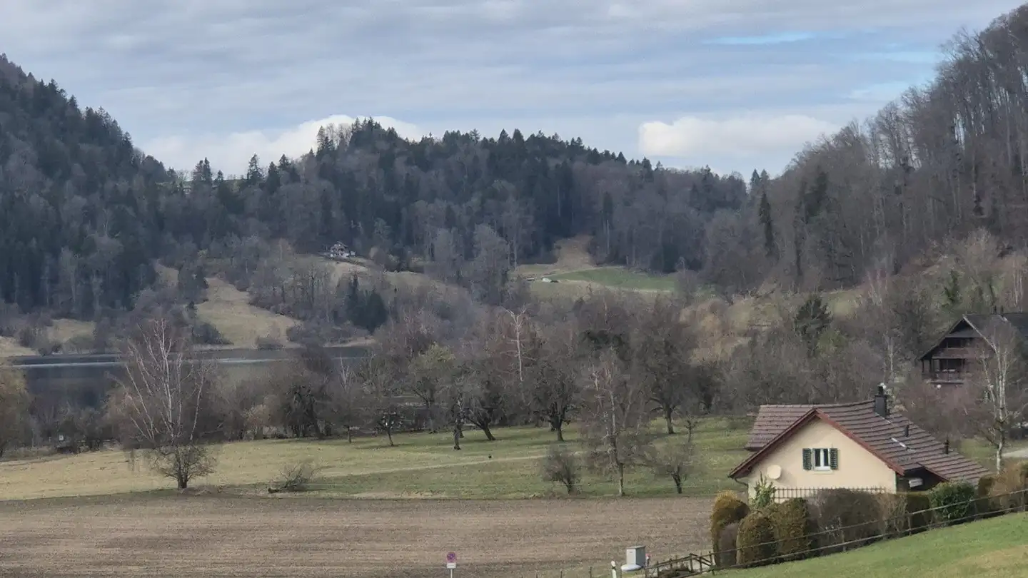 Einfamilienhaus kaufen - 8915 Hausen am Albis - Foto 2