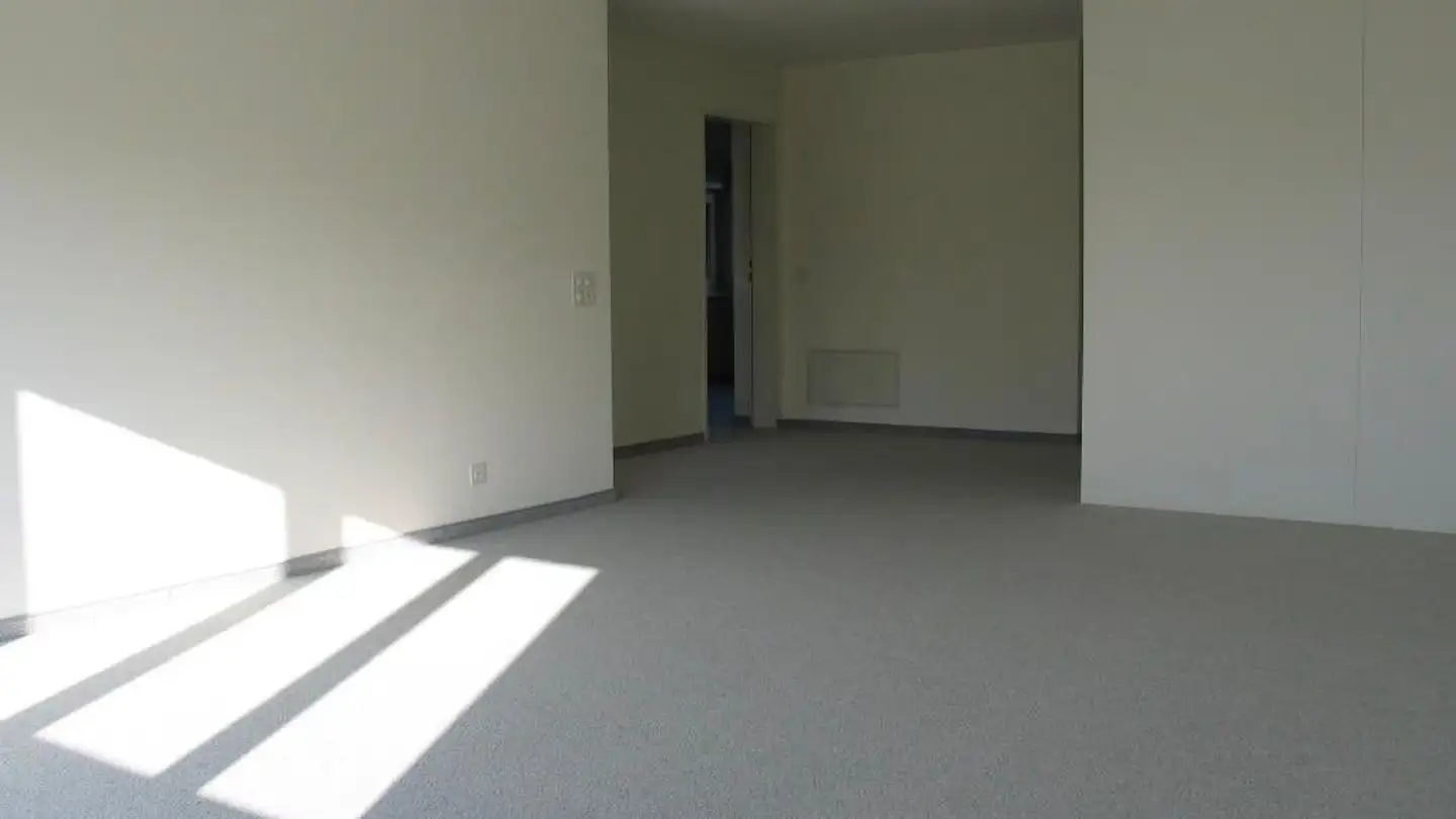 Apartment for rent - Aeussere Stammerau 10, 8500 Frauenfeld - Photo 4