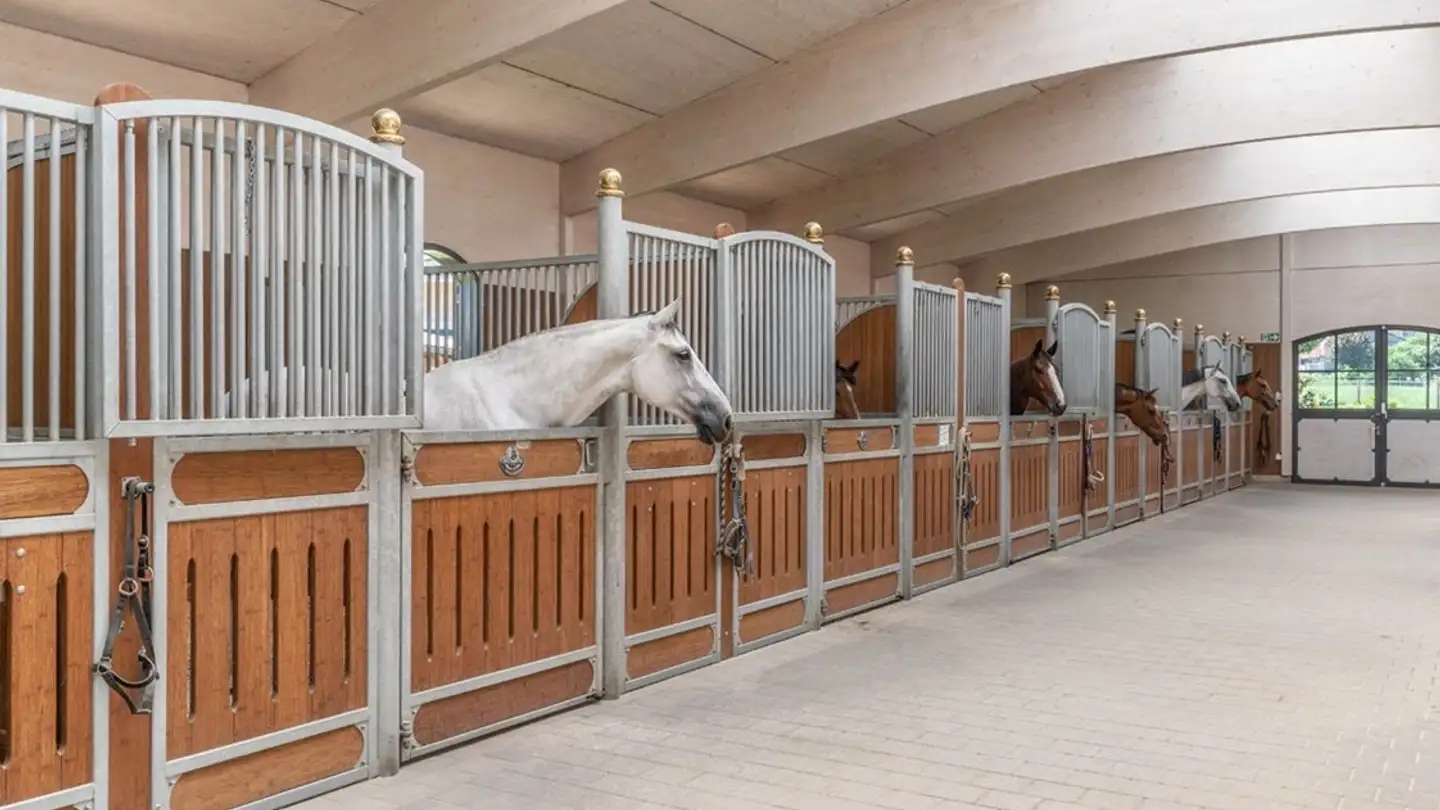 Ferme à vendre - 8370 Sirnach - Photo 4