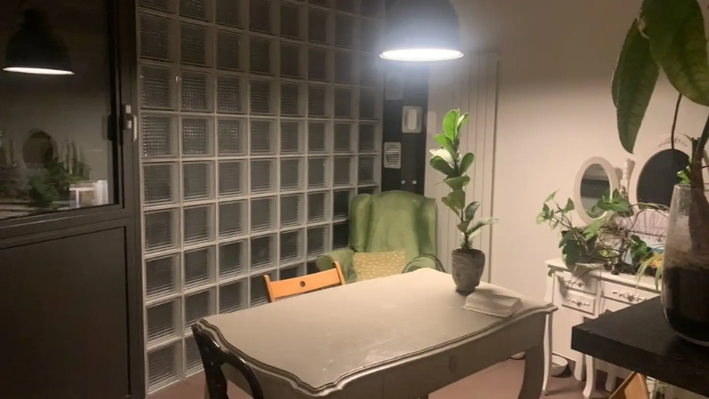 Single room for rent - Rue Jacques- Grosselin 20, 1227 Carouge GE - Photo 4