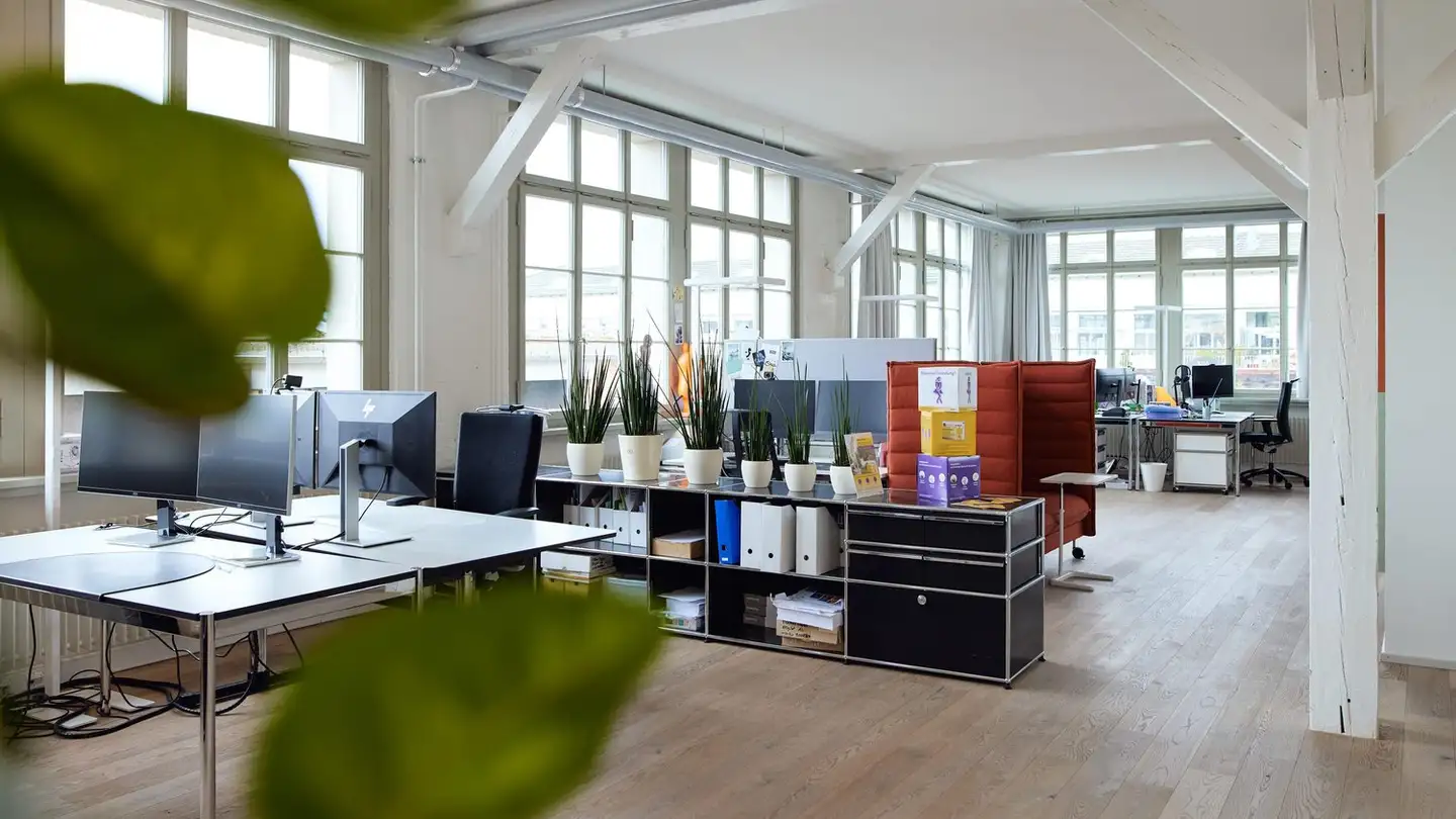 Bürofläche mieten - Walzmühlestrasse 49, 8500 Frauenfeld - Foto 2