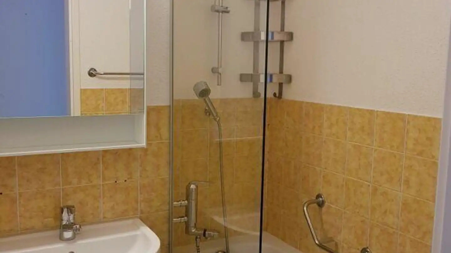 Appartement à louer - Kronbergstrasse, 9323 Steinach - Photo 3