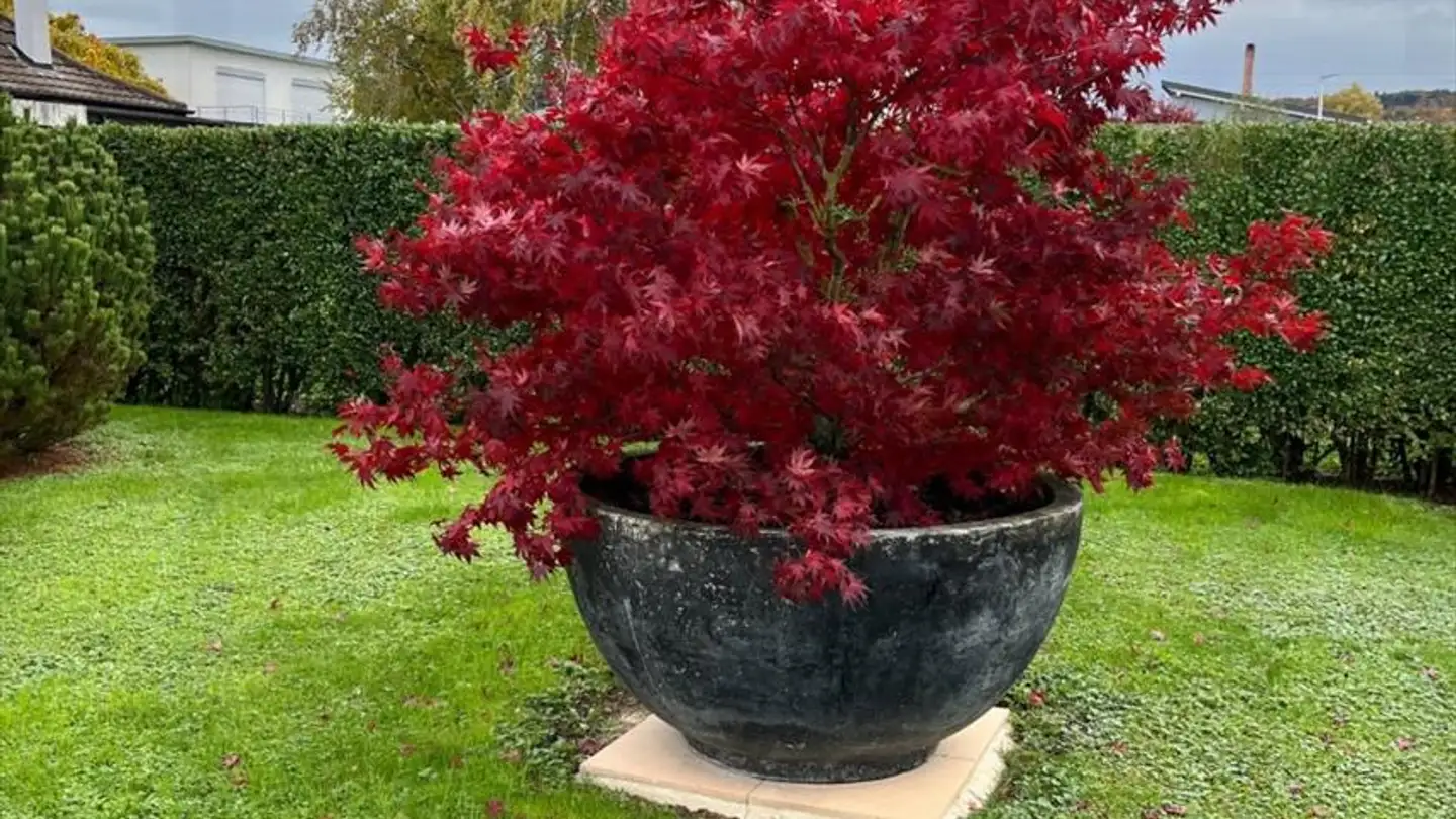 Single house for sale - 1564 Domdidier - Photo 3