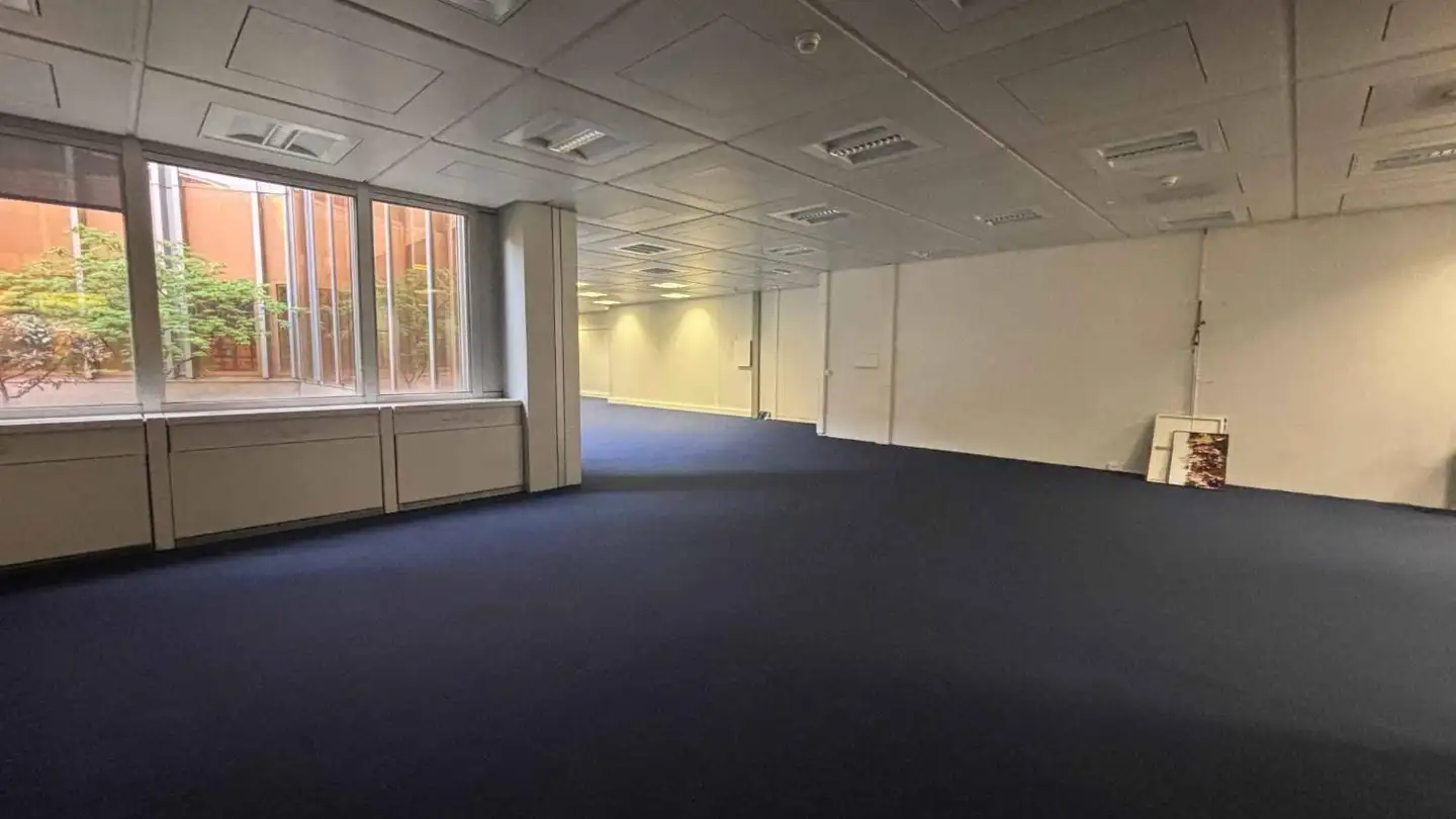 Bürofläche mieten - Route De Pré-Bois 20, 1215 Genève - Foto 3