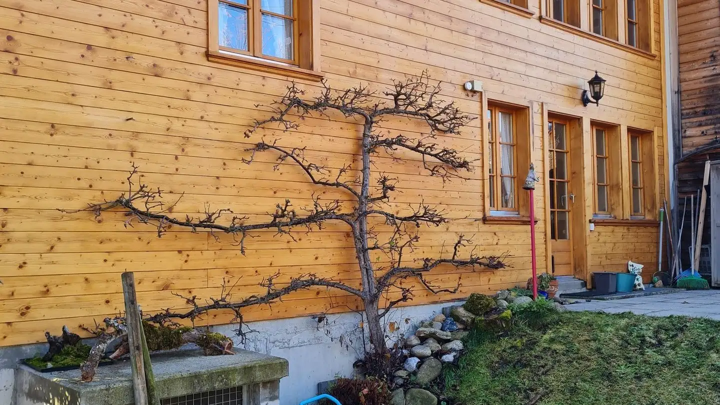 Appartamento in affitto - Endorfstrasse 63, 3655 Sigriswil - Foto 3