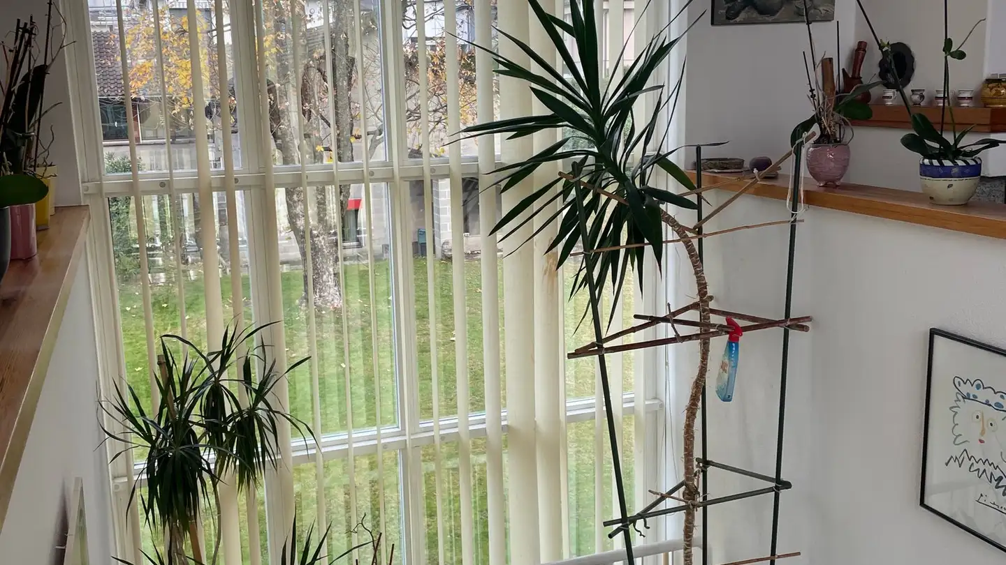 Villa for sale - Ala Gèra 7, 6528 Camorino - Photo 4