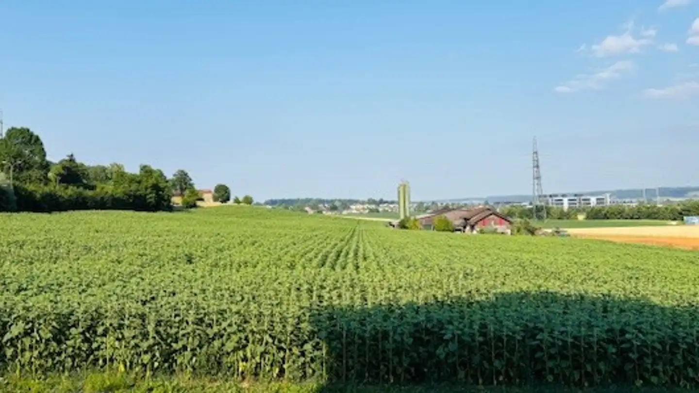 Apartment for rent - Spitzensteinweg 22, 2542 Pieterlen - Photo 4