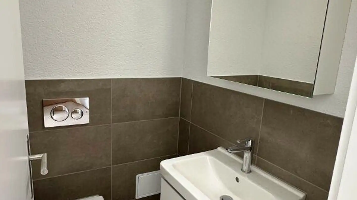 Apartment for rent - 8203 Schaffhausen - Photo 3