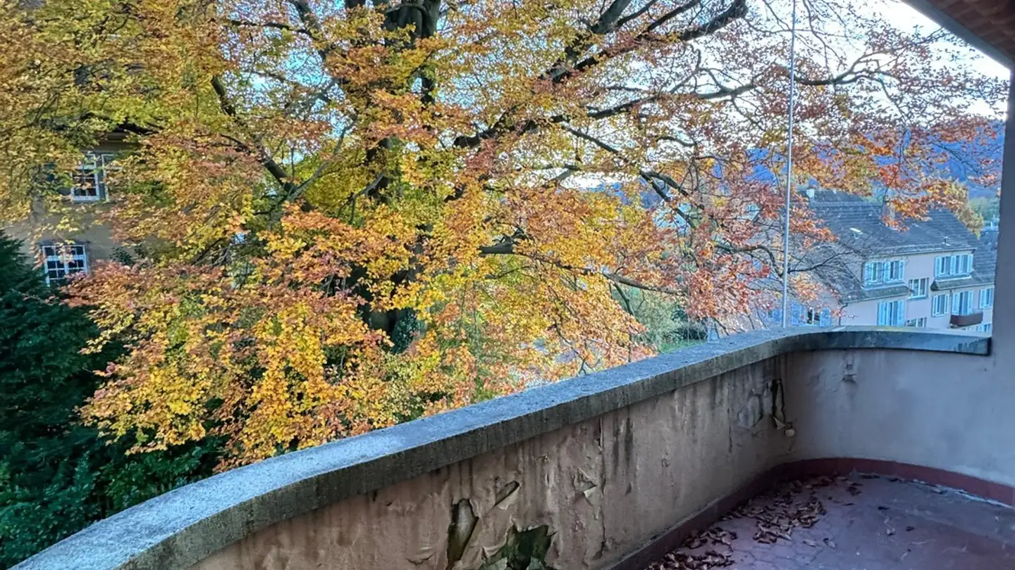 Stanza singola in affitto - Scheideggstrasse 22, 8002 Zürich - Foto 4