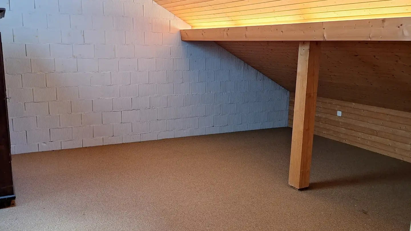 Hobby room for rent - Steindlerstrasse 49, 3800 Unterseen - Photo 4