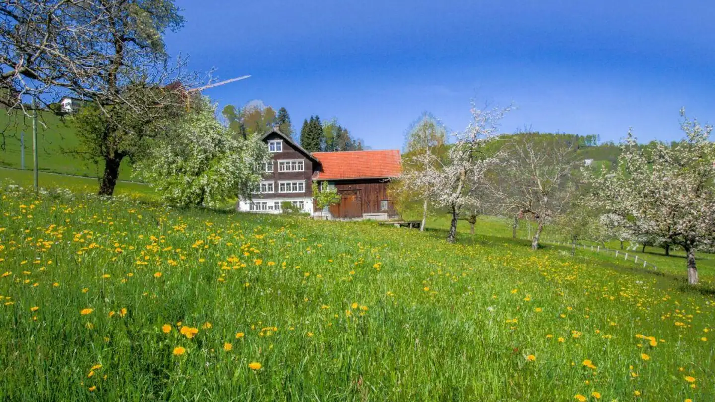 Ferme à vendre - Nordbächli, 9410 Heiden - Photo 2