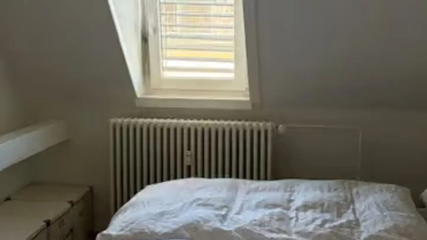 Attic flat for rent - Freyastrasse 11, 8004 Zürich - Photo 2
