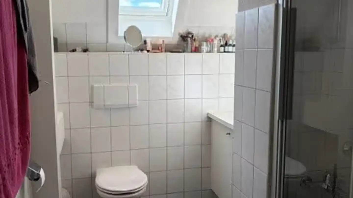 Attic flat for rent - Freyastrasse 11, 8004 Zürich - Photo 3