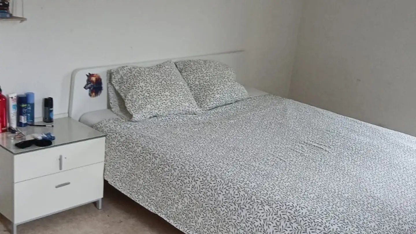 Single room for rent - Giessen 2, 8820 Wädenswil