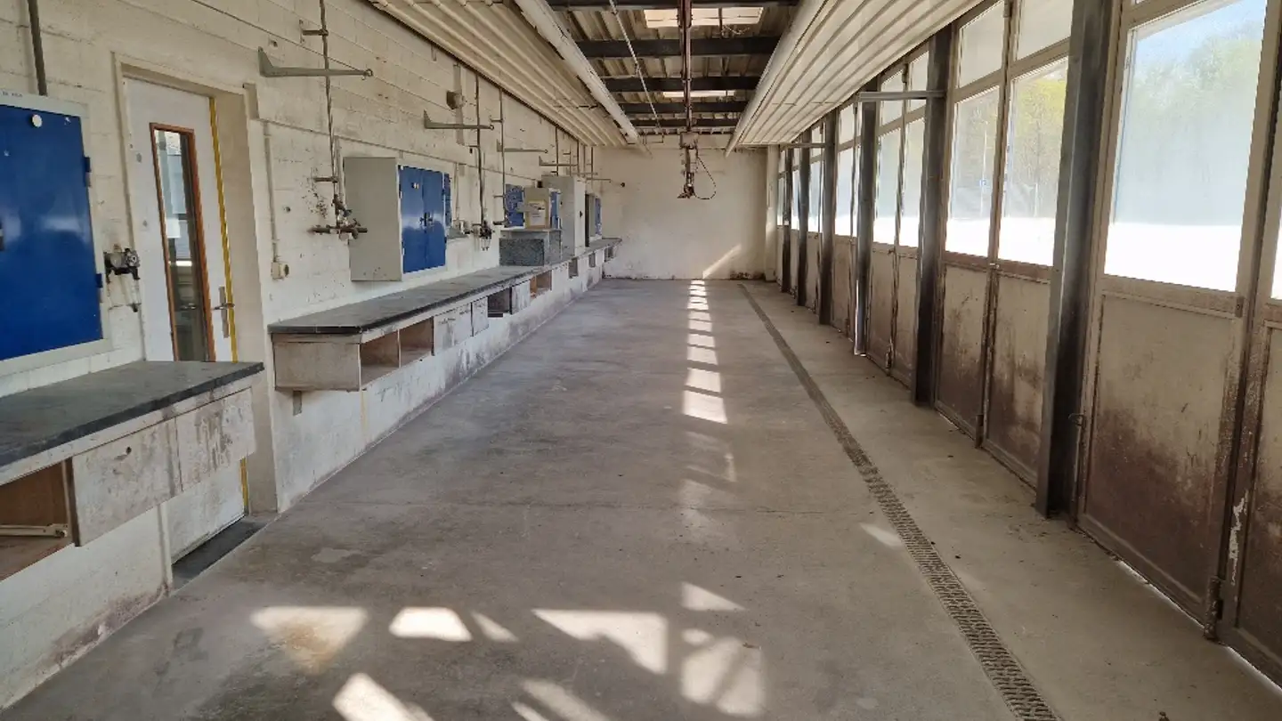 Industrieimmobilie mieten - Hardstrasse 95, 4127 Birsfelden