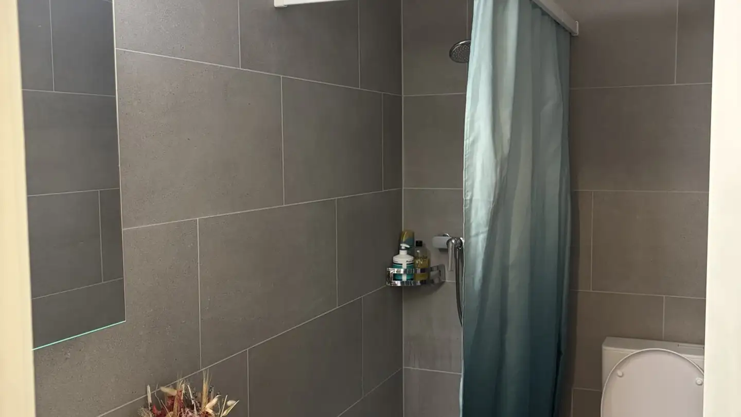 Appartamento in affitto - 8400 Winterthur - Photo 3