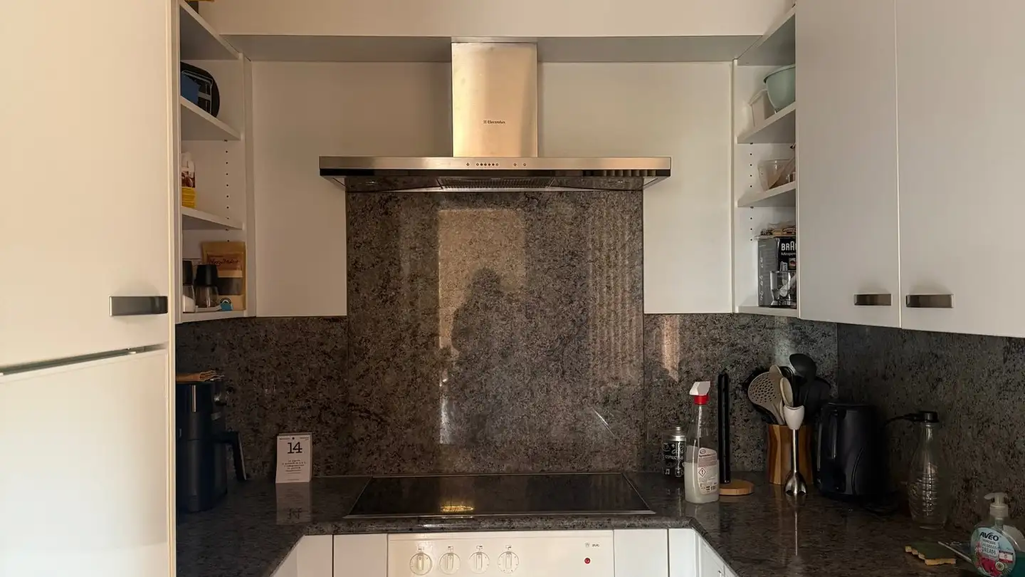 Einfamilienhaus mieten - 6963 Pregassona - Foto 4