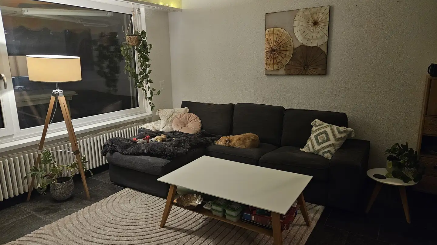 Single room for rent - Holderbachweg 21a, 8046 Zürich - Photo 4