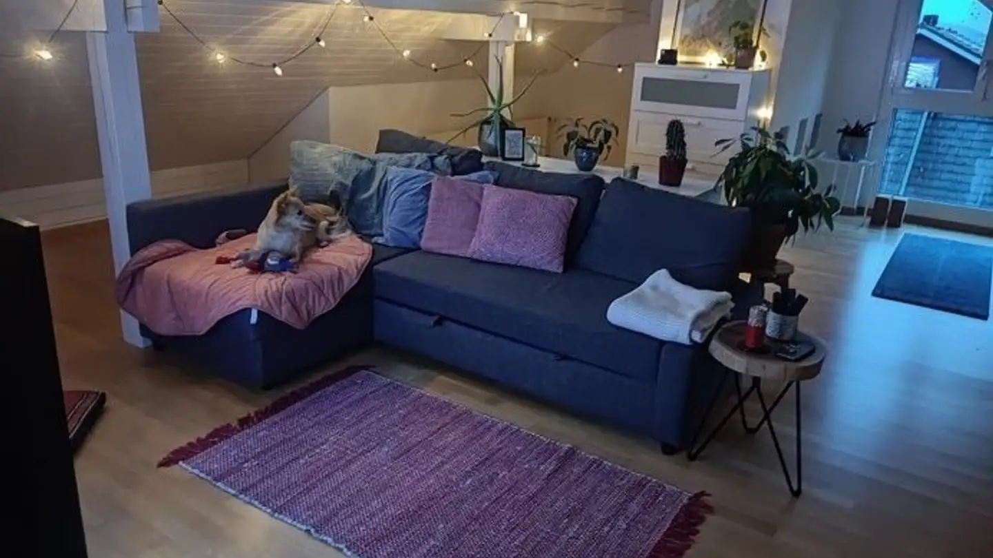 Single room for rent - Holderbachweg 21a, 8046 Zürich