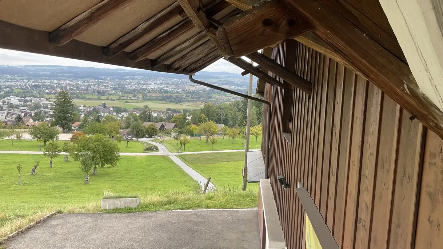 Einfamilienhaus kaufen - Binzstrasse, 8118 Pfaffhausen - Foto 3