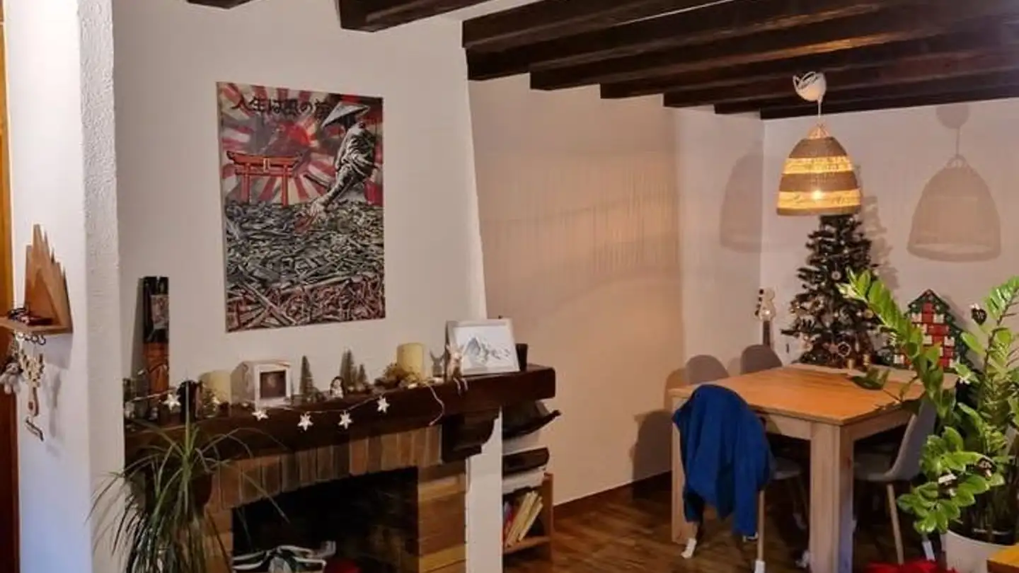 Appartamento in affitto - Rue Vautier 27a, 1227 Carouge GE