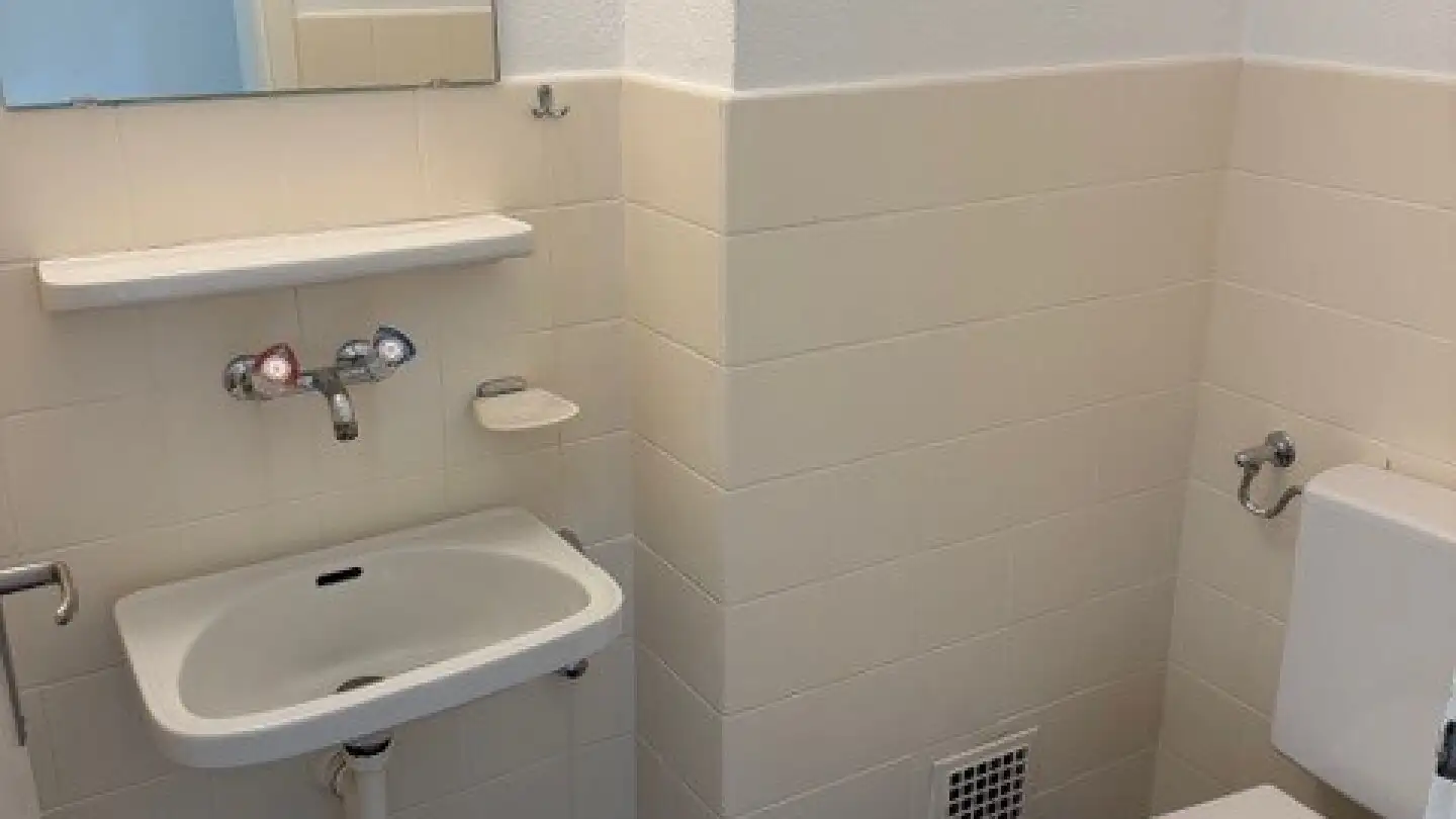 Appartamento in affitto - Lenzburgerstrasse, 5103 Wildegg - Photo 4