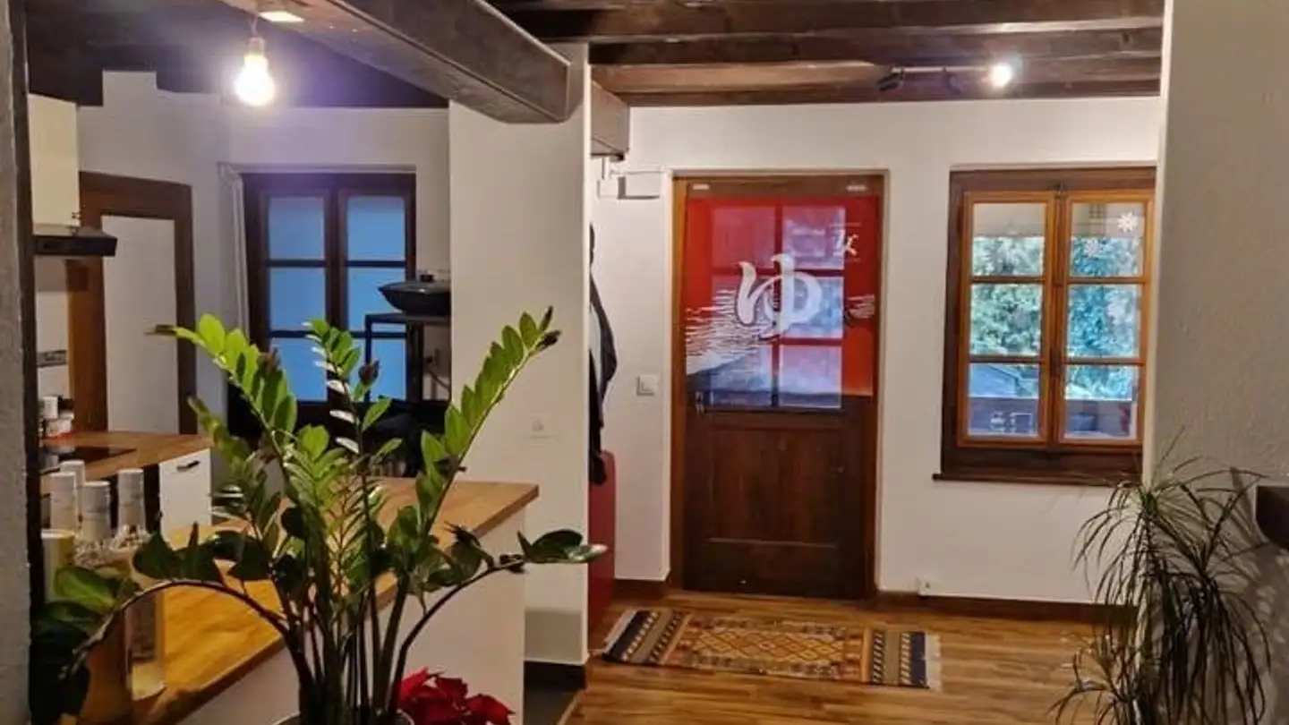 Appartamento in affitto - Rue Vautier 27a, 1227 Carouge GE - Foto 3