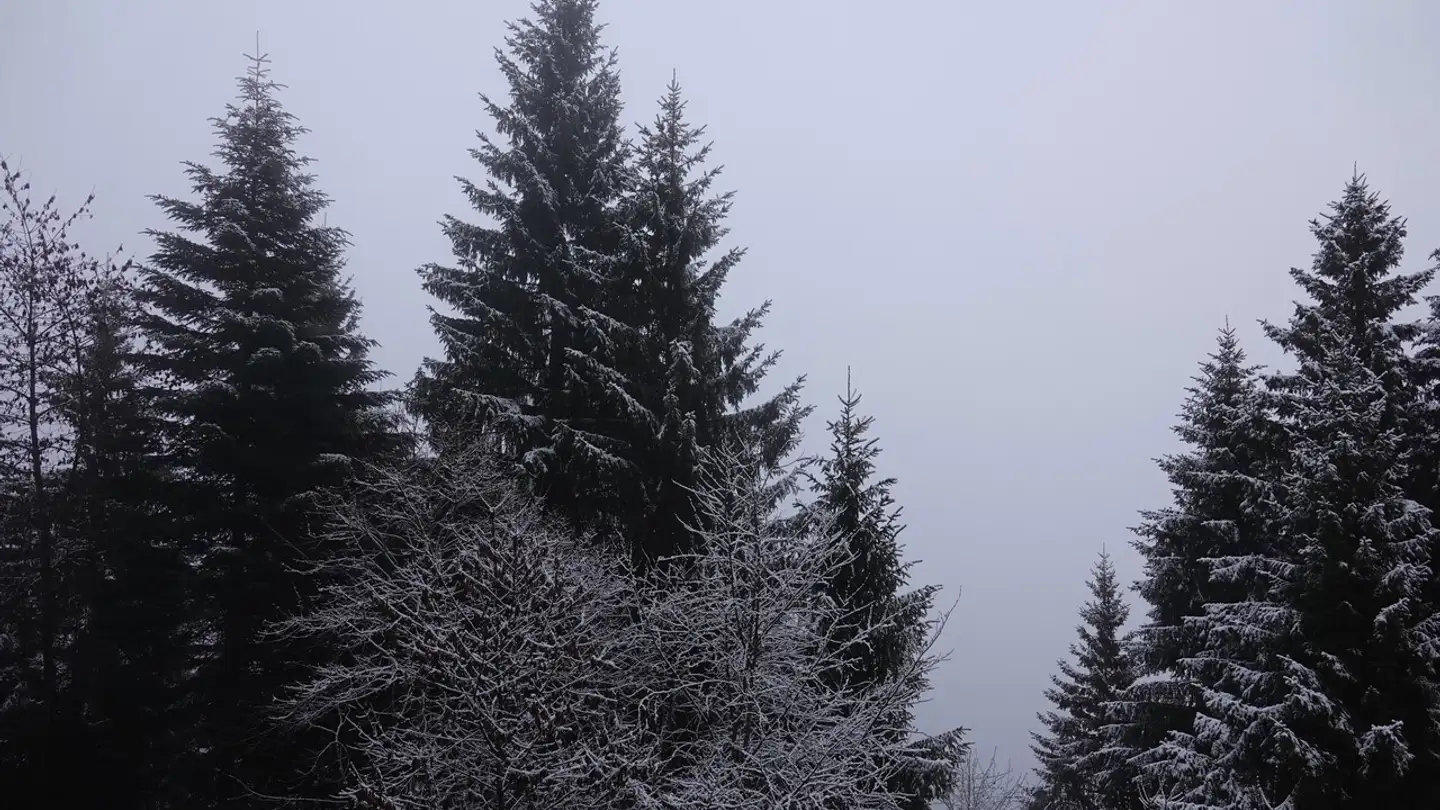 Wohnung kaufen - 1899 Torgon - Foto 3