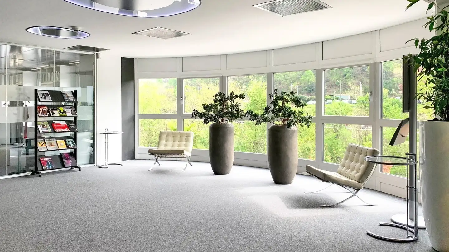 Edificio ad uso misto in affitto - Via D'argine, 6930 Bedano - Photo 2