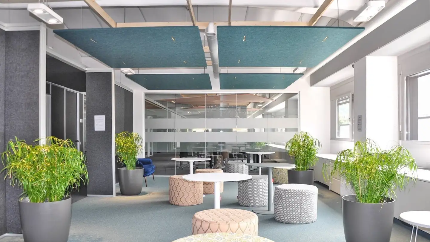 Edificio ad uso misto in affitto - Via D'argine, 6930 Bedano - Photo 3