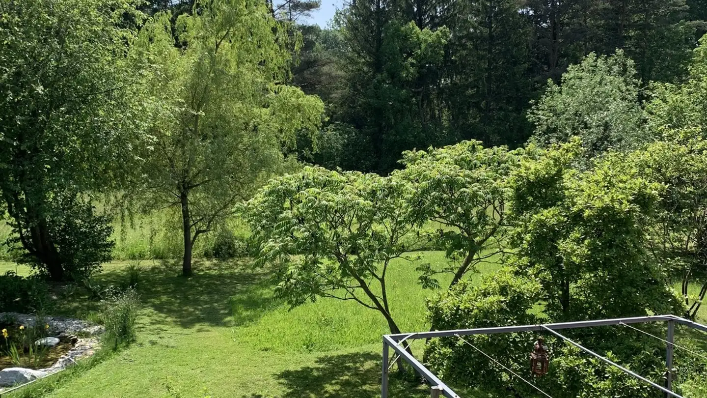 Appartamento in affitto - Birkenweg 5, 2563 Ipsach - Photo 3