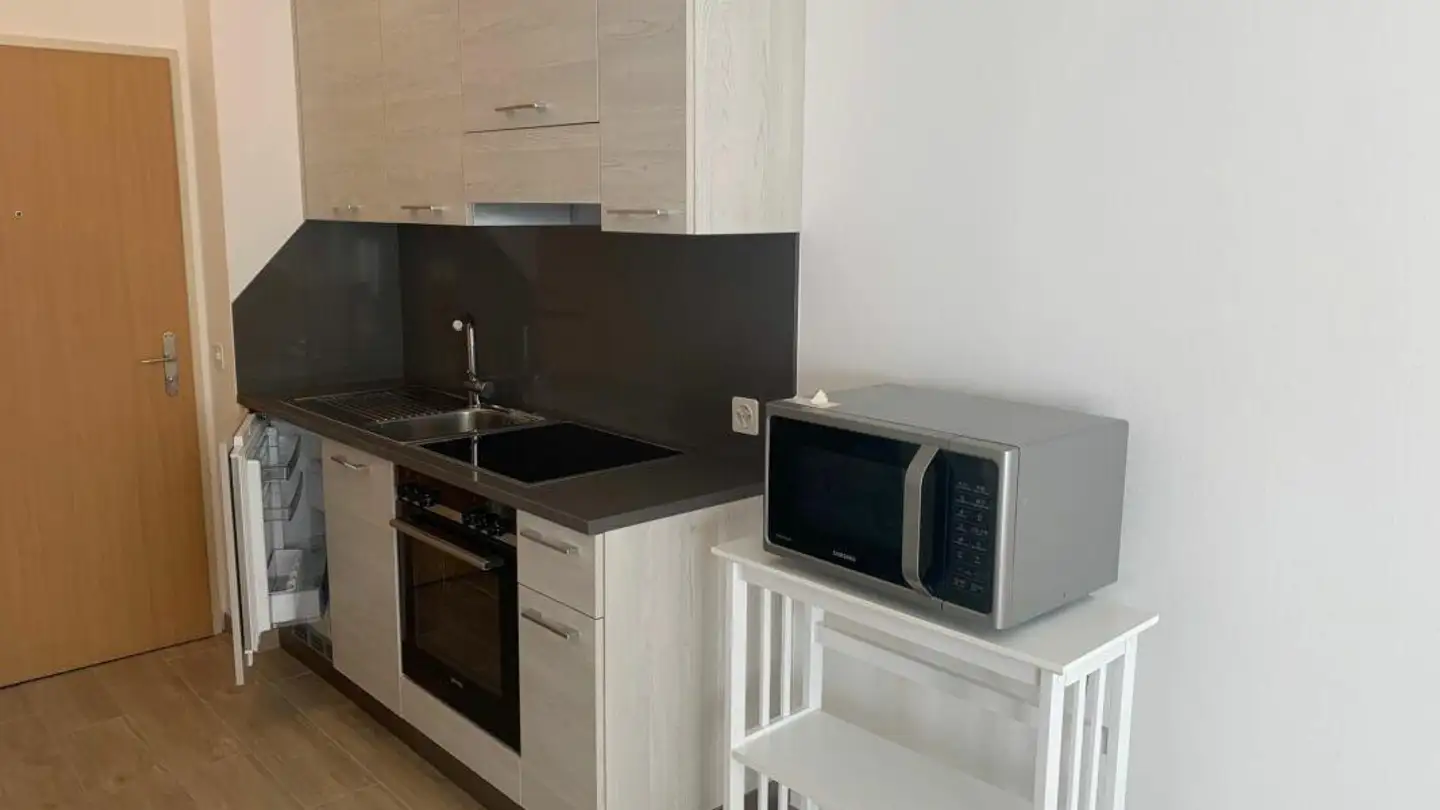 Furnished apartment for rent - Via Caratti 6, 6500 Bellinzona - Photo 4