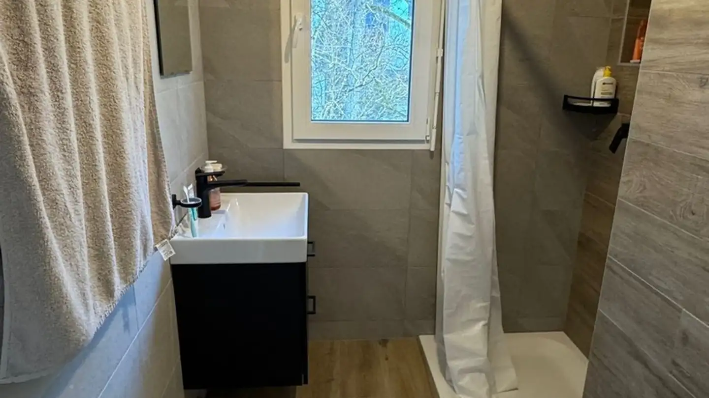 Appartamento in affitto - Chemin De Boissonnet, 1010 Lausanne - Foto 4