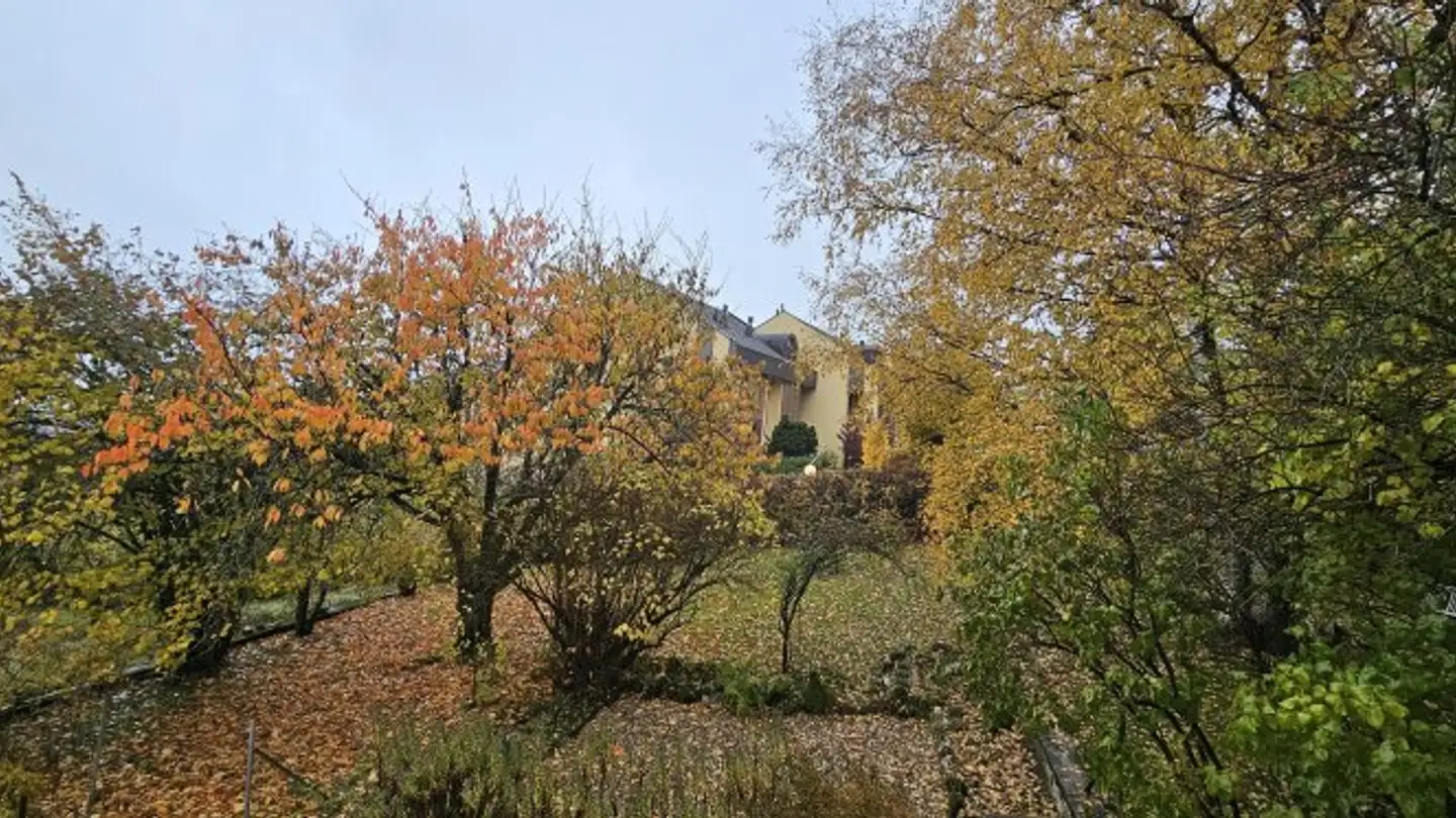 Appartamento in affitto - Rue De La Combe 9, 2054 Chézard-St-Martin - Photo 2