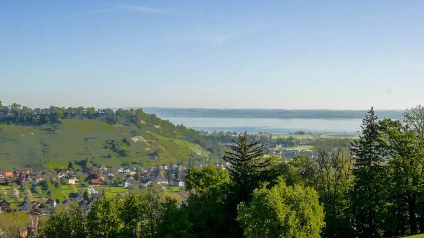 Wohnung kaufen - Haufen, 9426 Lutzenberg - Foto 2