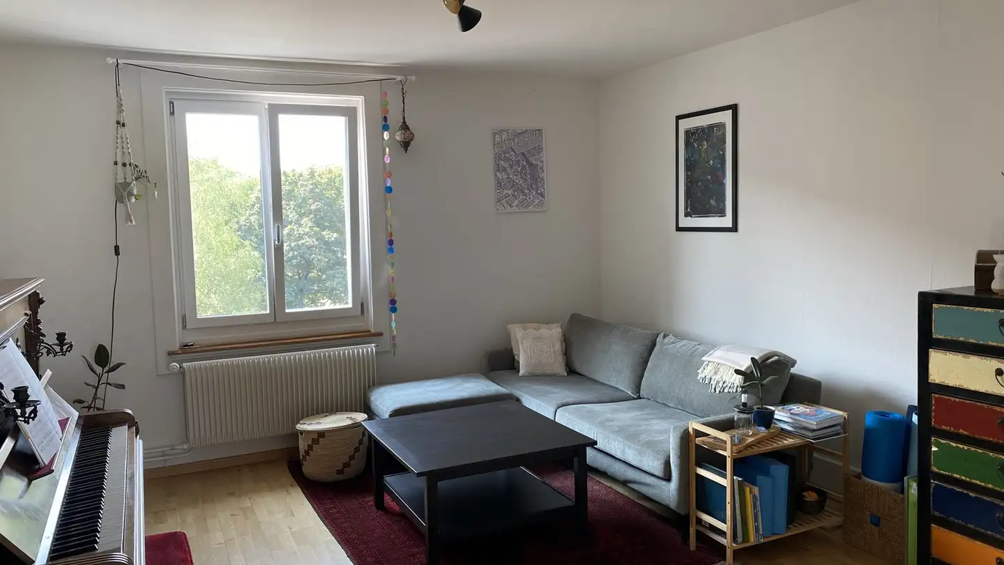 Appartamento in affitto - 3014 Bern