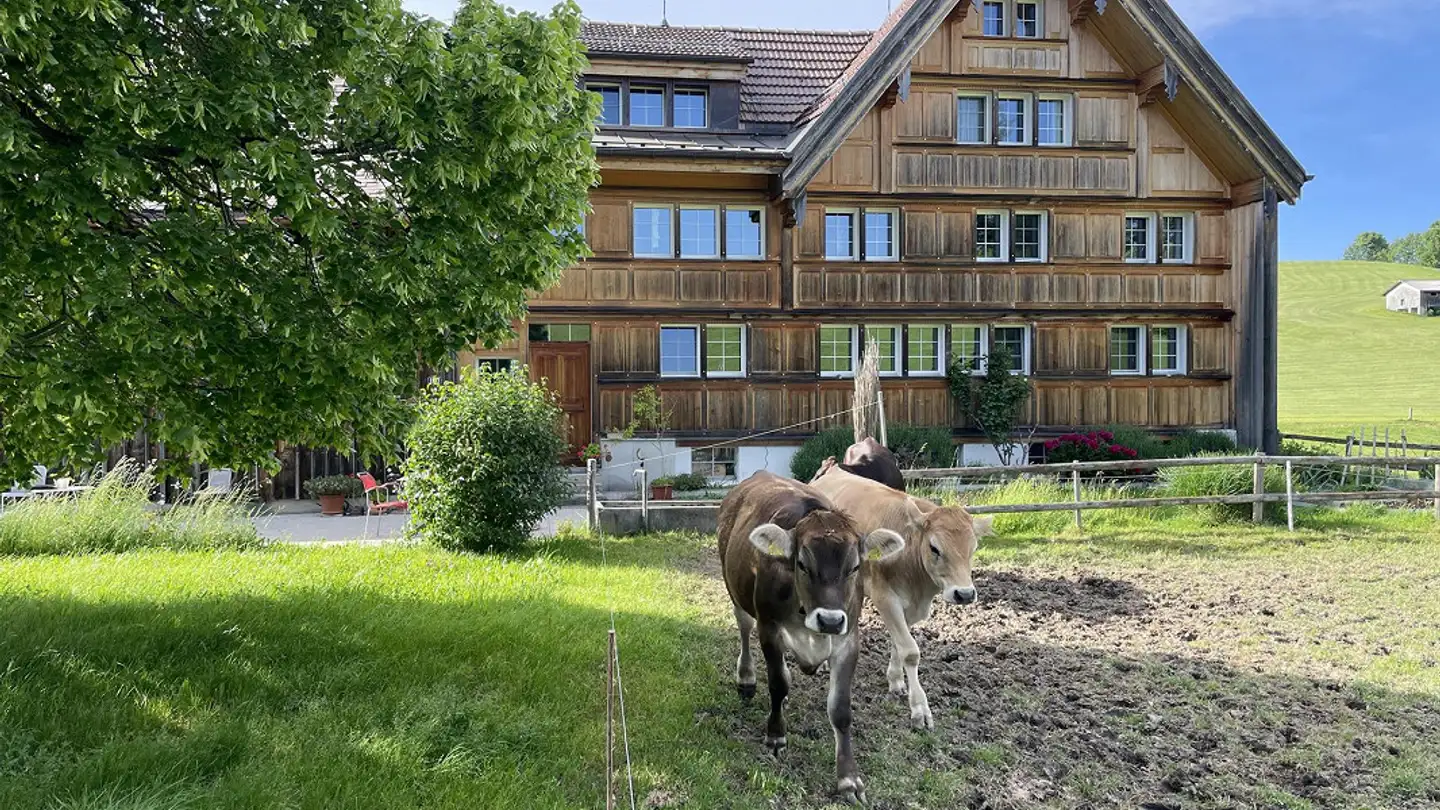 Attique à louer - Lehn 1123, 9053 Teufen AR