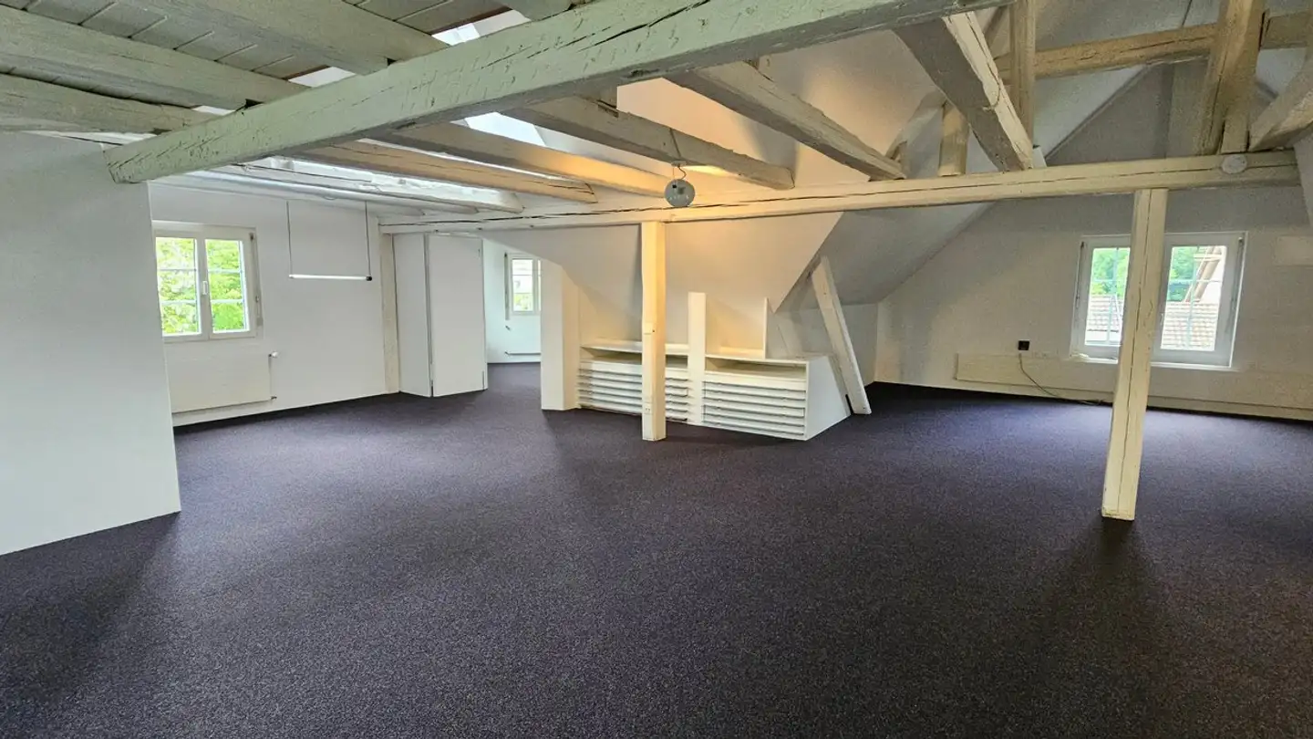 Commercial for rent - Châtelstrasse 6, 8355 Aadorf - Photo 2