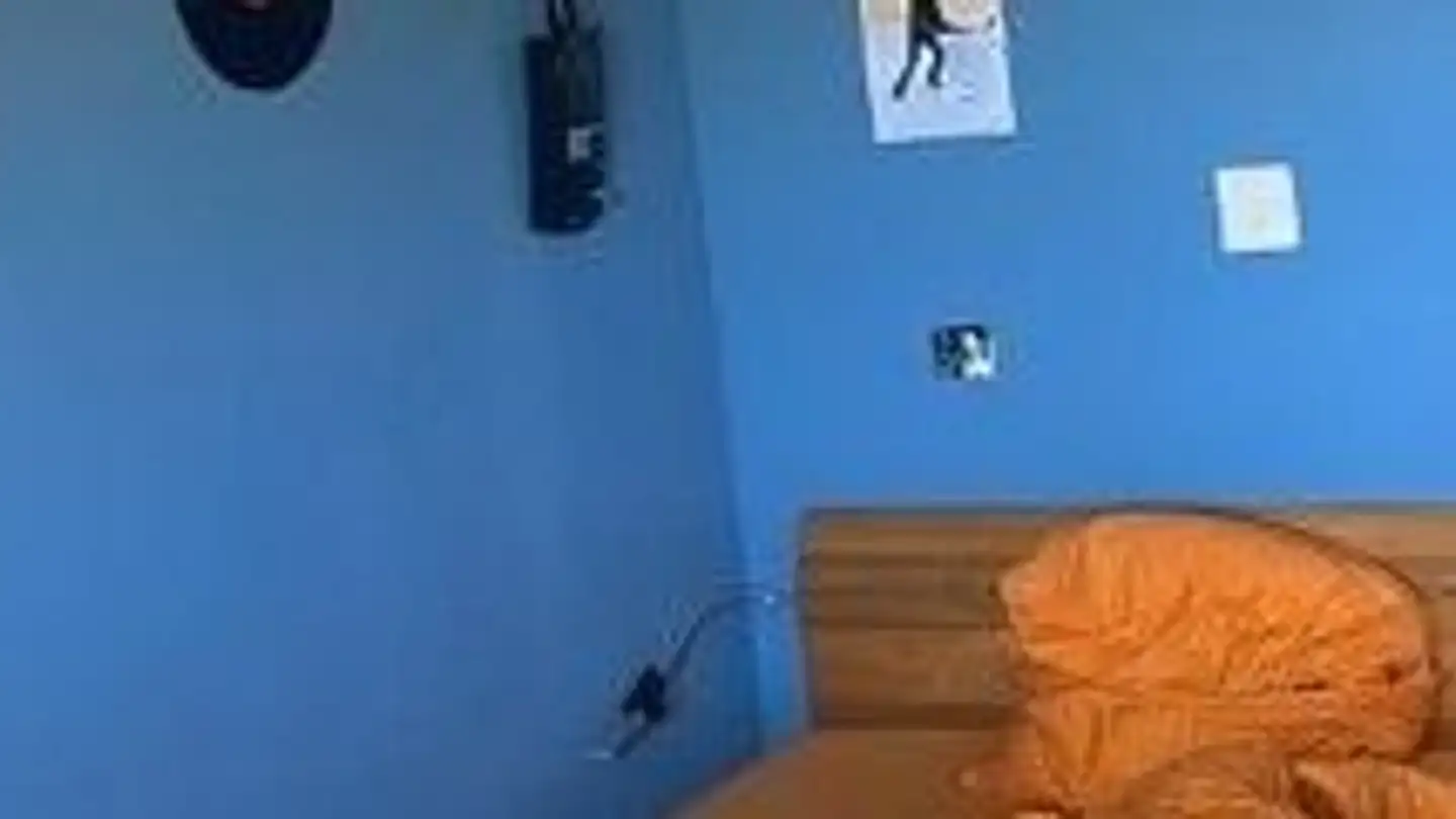 Single room for rent - Jupiterstrasse 57, 3015 Bern