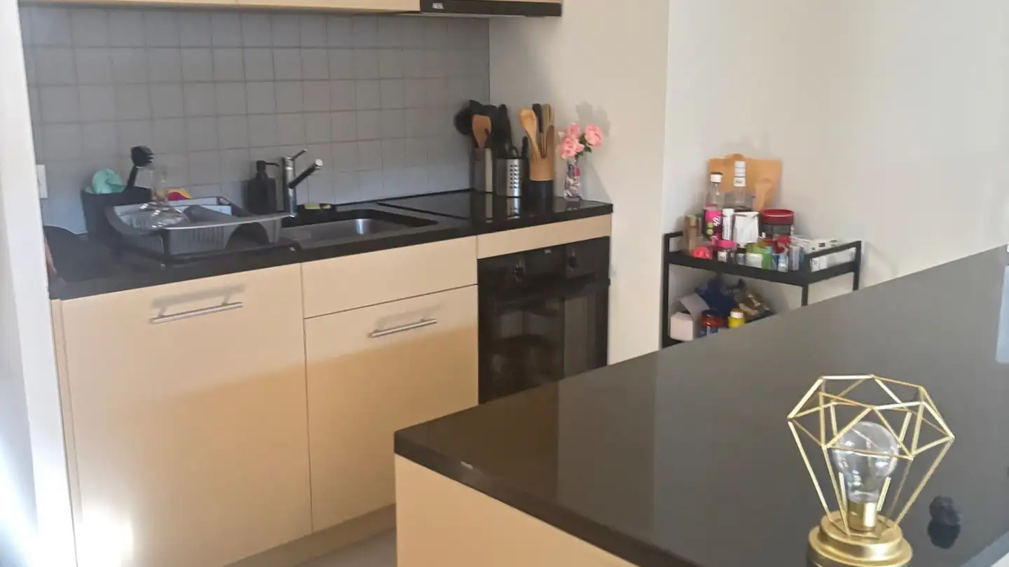 Appartamento in affitto - Chemin De Perruet 16, 1880 Bex - Foto 3