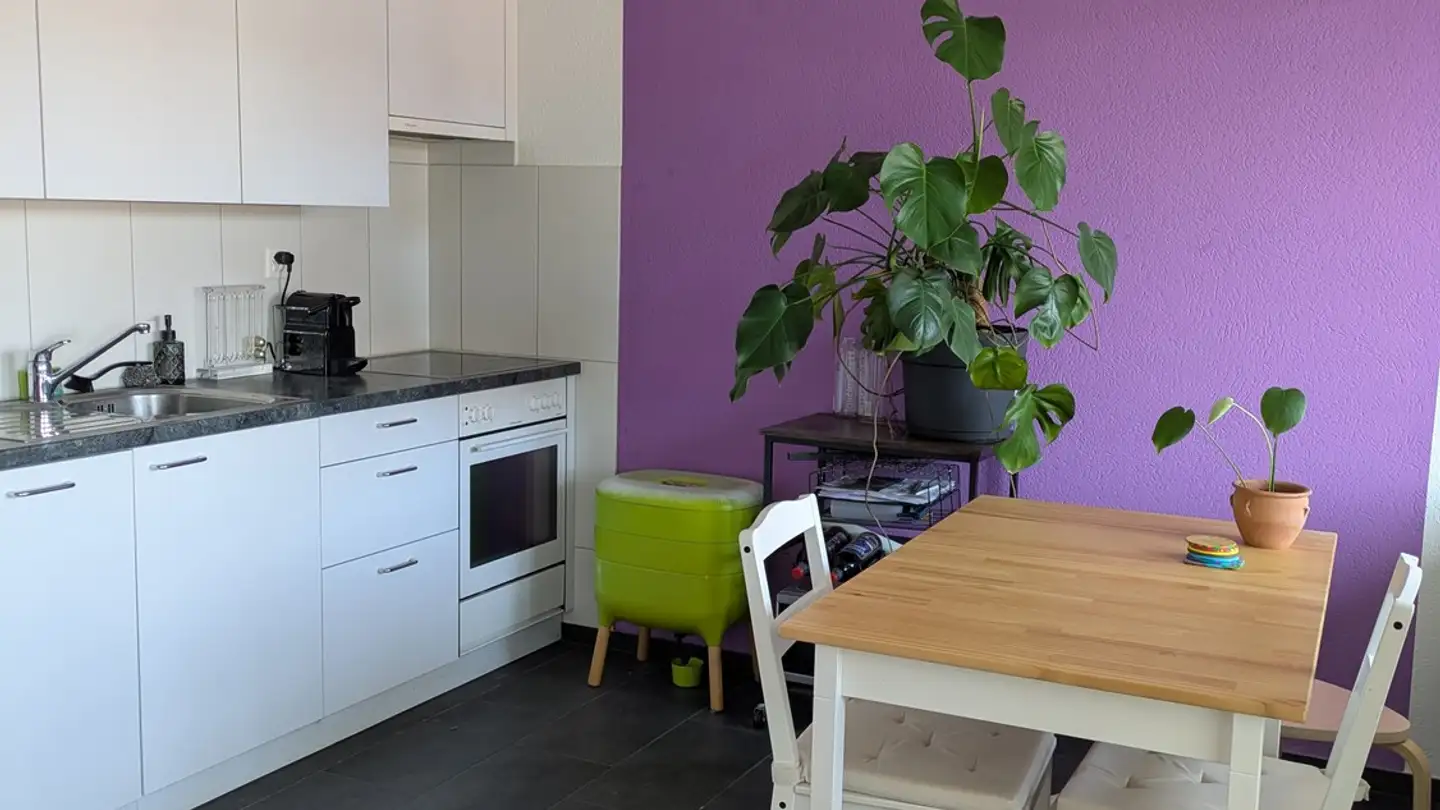 Apartment for rent - 8620 Wetzikon ZH