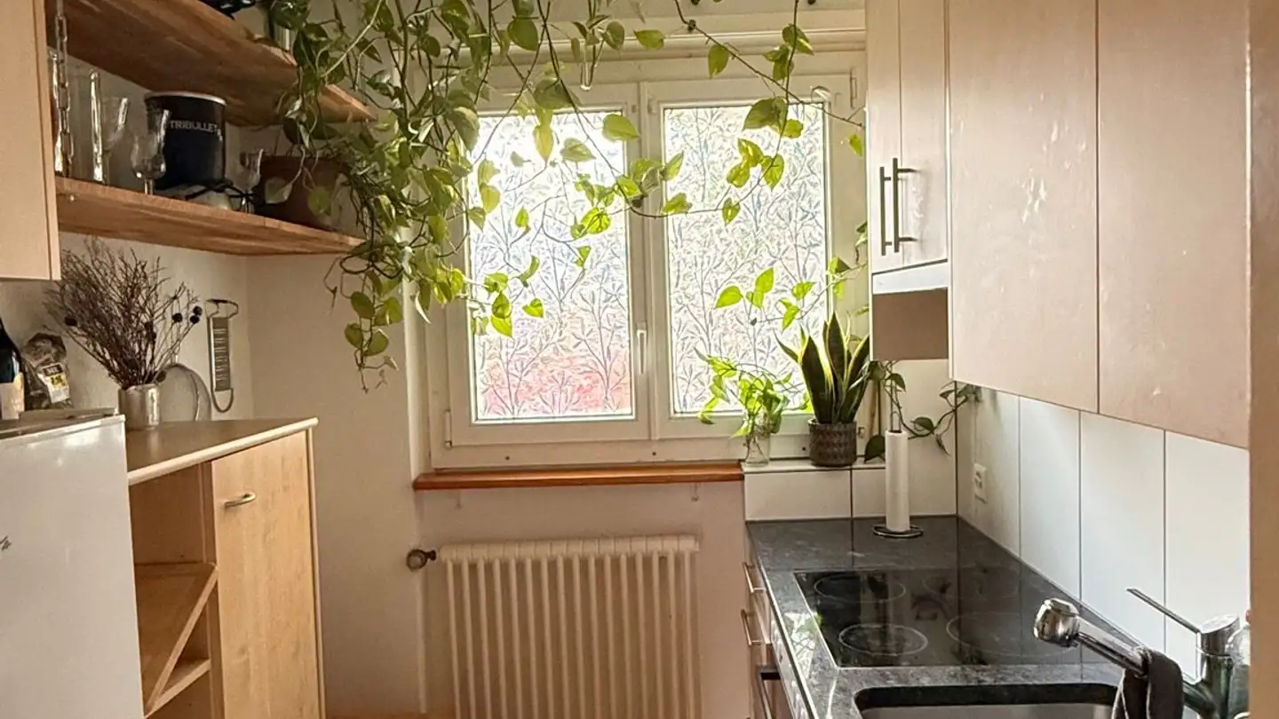 Appartement à louer - 8344 Bäretswil