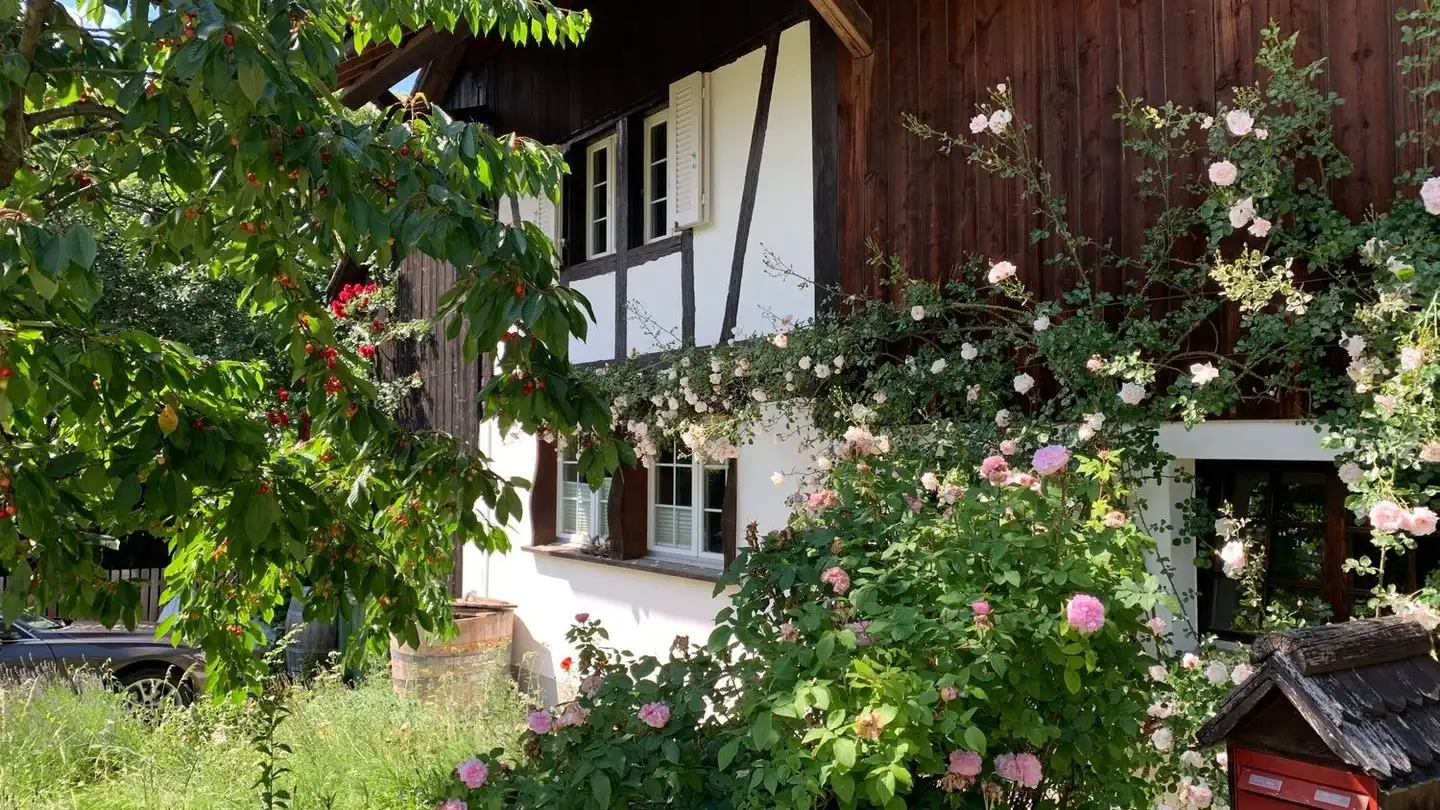 Farm for rent - 8604 Volketswil