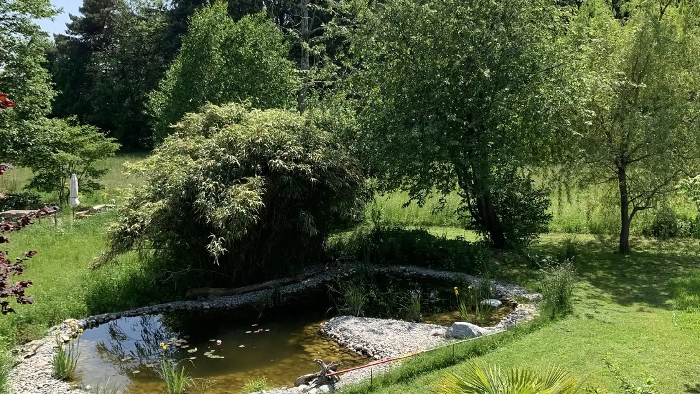 Appartamento in affitto - Birkenweg 5, 2563 Ipsach - Photo 2