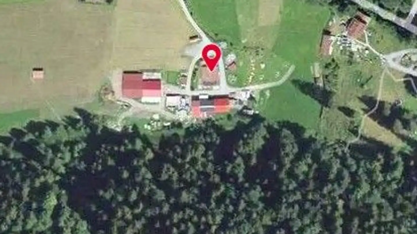 Fattoria in vendita - Route Du Pont-De-Nant, 1880 Les Plans-sur-Bex - Foto 2