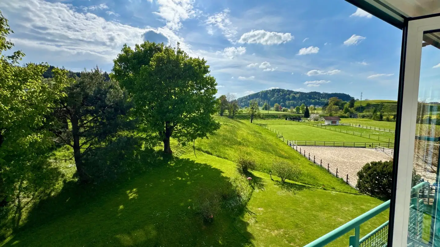 Attique à vendre - Bachwiese, 9532 Rickenbach b. Wil - Photo 2