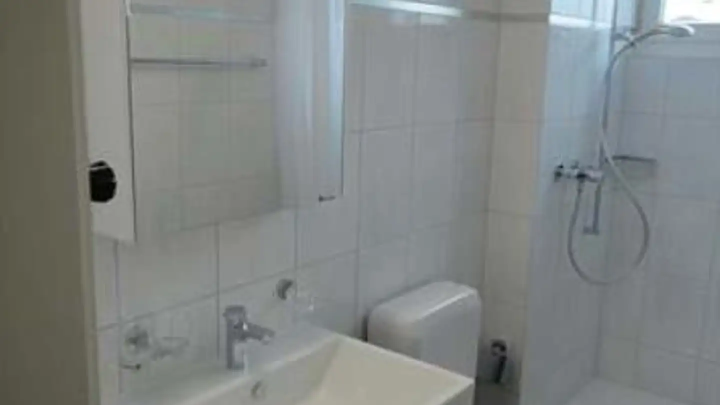 Penthouse for rent - Porta Ginellas, 7402 Bonaduz - Photo 4
