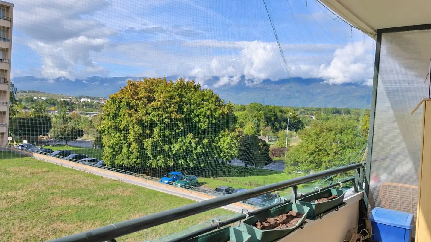 Appartamento in affitto - Avenue François- Besson, 1217 Meyrin - Foto 2