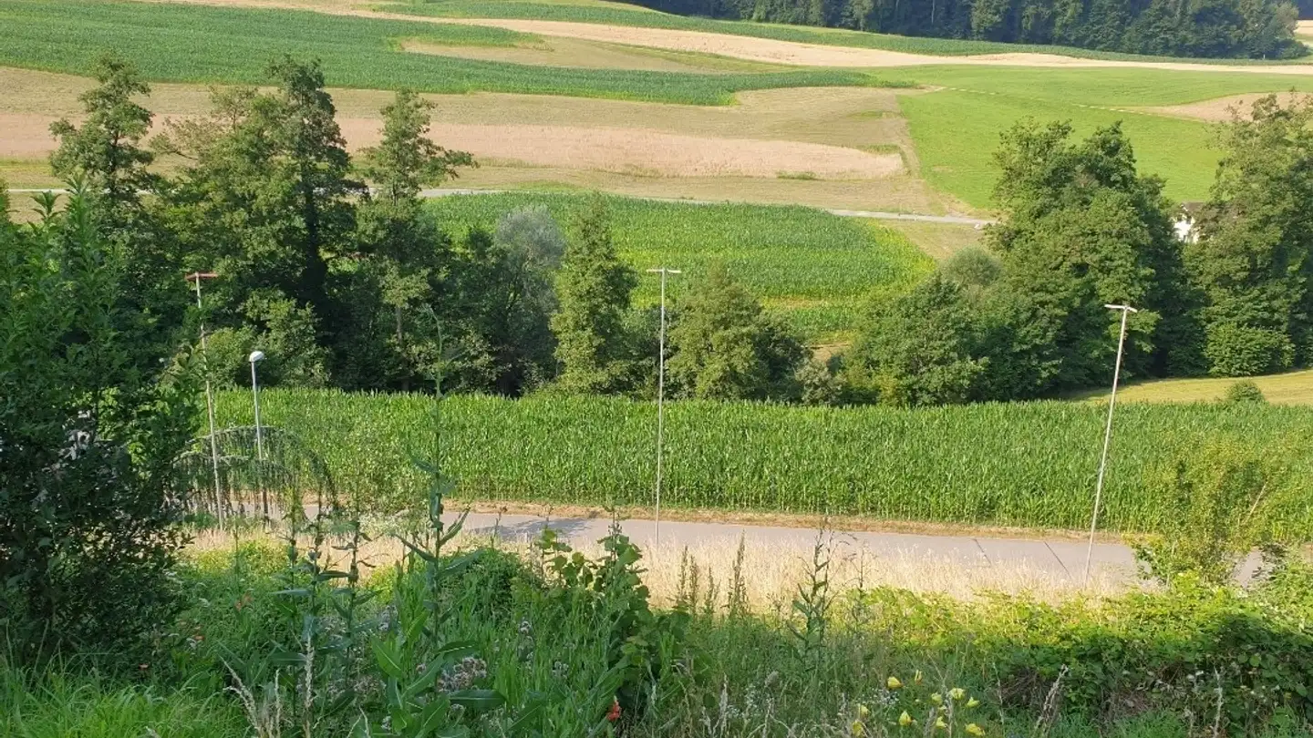 Constructible plot for sale - 5463 Wislikofen